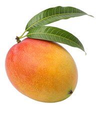 3d rendering of mango on a transparent background