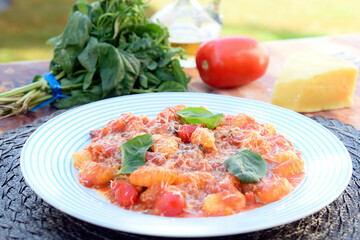 Gnocchi with red Bolognese sauce, typical Italian pasta potato food taste