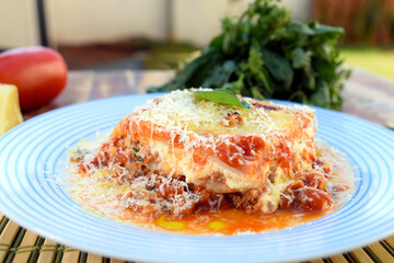 lasagna white and bolognese sauce with parmesan cheese, pasta, tomato, basil, herbs, delicious food from Italian and French cuisine