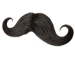 Black handlebar mustache realistic hair on a transparent background