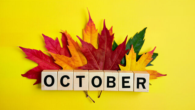 Colorful autumn leaves and wooden blocks spelling October on a bright yellow background. Perfect for seasonal, calendar, or fall-themed content and promotions.