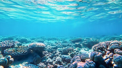 Fototapeta premium Underwater View Of Coral Reef With Clear Blue Water Sunlight And Aquatic Life