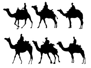 Set of camel