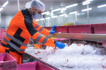Factory workers in fish and seafood factory are moving food and lifting things into the fish...