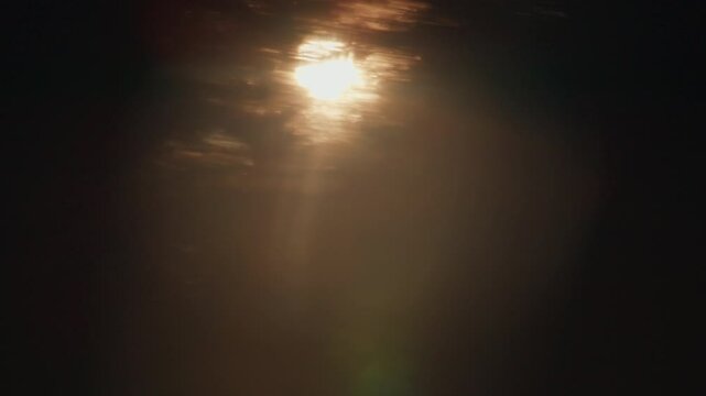 View of the sun blinking through the trees, view from a fast moving car