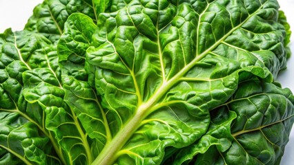 Fototapeta premium Swiss Chard Buch Leaf with Ruffled Edges and Vibrant Green Color, fresh produce, green leafy vegetable