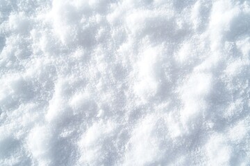 Obraz premium A serene composition of scattered white petals on a clean. bright background. evoking a sense of calmness and purity. ideal for nature-themed projects