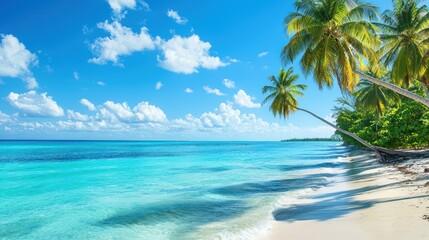 A tropical beach with palm trees and turquoise water