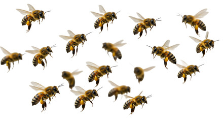 Honeybees in Flight, Cut out