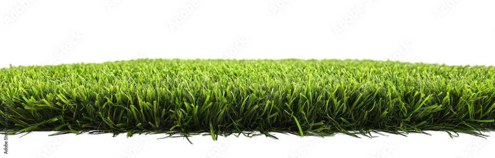Poster lush green grass isolated on a transparent background high-resolution web design presentations adver