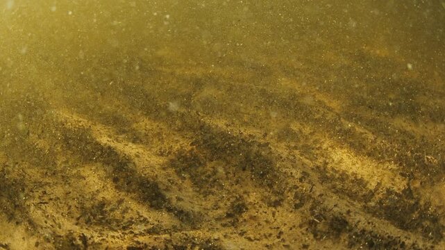 Underwater view of the bottom of a murky lake full of sediments moving with rhythm of a swell