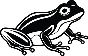 frog on white background