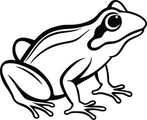 frog on a white