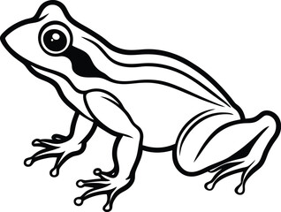 frog on white background