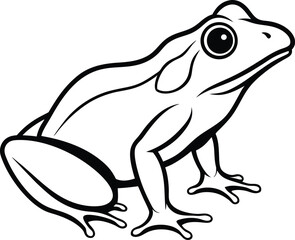 hand drawn vector illustration of a frog