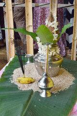 Preparing Pongal rice. tamil silver pot on rice and a coconut on top for tamil new year.Using a...