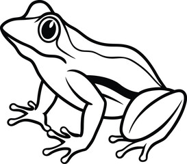 vector illustration of a frog