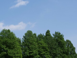 舎人公園の風景