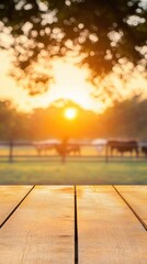 Wooden table top with blurred horses grazing in a field at sunset golden hour background farm ranch landscape