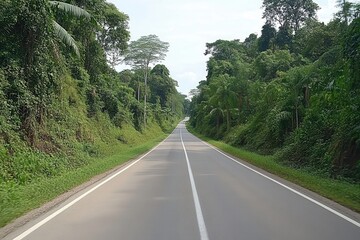 Fototapeta premium Lush forest road stretches ahead