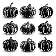 Black and white pumpkin illustrations
