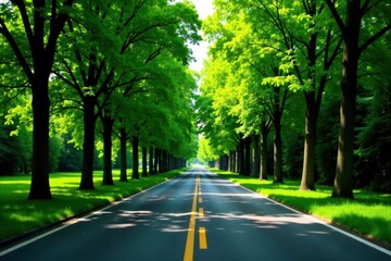 Fototapeta premium A sun-dappled road winds through a vibrant green tree-lined avenue, promising tranquil journeys and scenic adventures.
