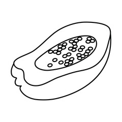 Papaya Fruit Coloring illustration