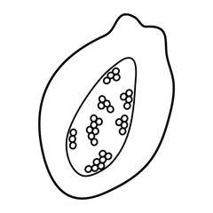 Papaya Tracing Line and Coloring