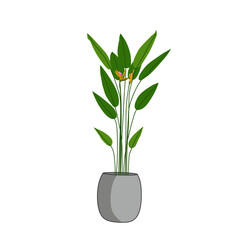 vector plants in pots for home decoration