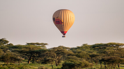 hot air balloon in serengeti savanah