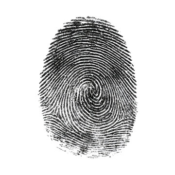 Detailed fingerprint pattern isolated on a transparent background for security identification
