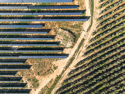 Photovoltaic solar farm in Zaragoza, Spain, captured from above, showing structural precision, geometric harmony and sustainable power generation grid.