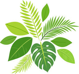 Green tropical leaves. Palm tree foliage, monstera and dieffenbachia. Realistic 2D vector set of exotic jungle plants, botanical elements