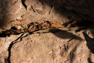 Close-up of rough rock surface with cracks and debris, highlighted by strong natural light and...