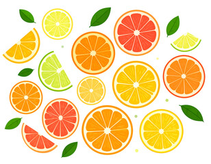 Fototapeta premium Vibrant citrus slices arranged in a pattern, adorned with leaves