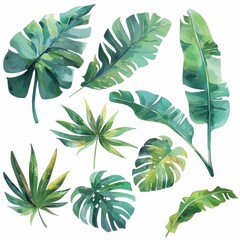 Watercolor Tropical Leaves Collection Exotic Monstera Palm Banana Leaves Design Elements for Print and Web