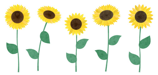 茎がついたままのひまわりのベクターイラストセット(夏 夏休み 向日葵 7月 8月 編集可能 花)