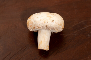 Fototapeta premium Fresh Mushrooms on a Rustic Wooden Table