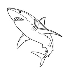 A line art illustration of a shark swimming in the blue ocean with elegant and minimalist details. Perfect for decorative designs, posters, children's books, and ocean art collections.