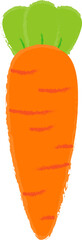 Carrot Hand-Drawn Illustration