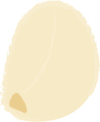 Hand Drawn Garlic – Culinary Herb Illustration