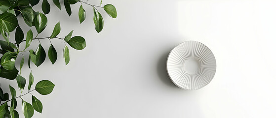 Elegant White Plate With Green Leaves On White Background