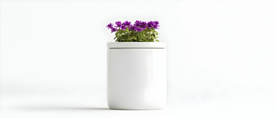 Purple Flowers In White Pot