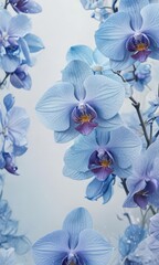 Delicate blue watercolor wash background features vibrant Phalaenopsis orchids, showcasing intricate petal details , nature, photography