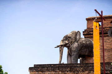 Old elephant on broken pagoda, Chiang Mai, Thailand