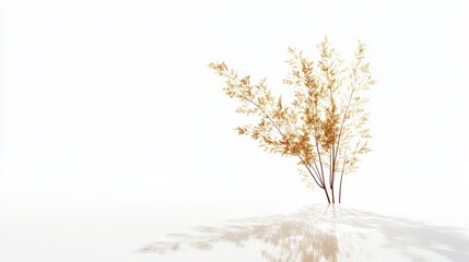 Fototapeta premium Golden Minimalist Tree with Shadow on White Background Art Concept