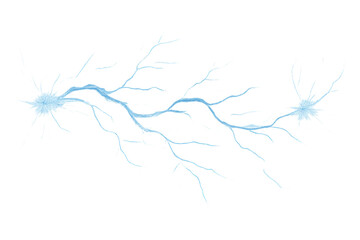 Fototapeta premium Two neurons connected by dendrites, illustrating neural communication and electrical signaling.