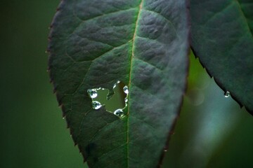 Beautiful morning view indonesia, Panorama Landscape paddy fields with beauty color and sky natural light