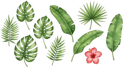 Watercolor Tropics: A Collection of Lush Leaves and Bloom