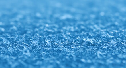 Obraz premium Frozen Breath of Winter